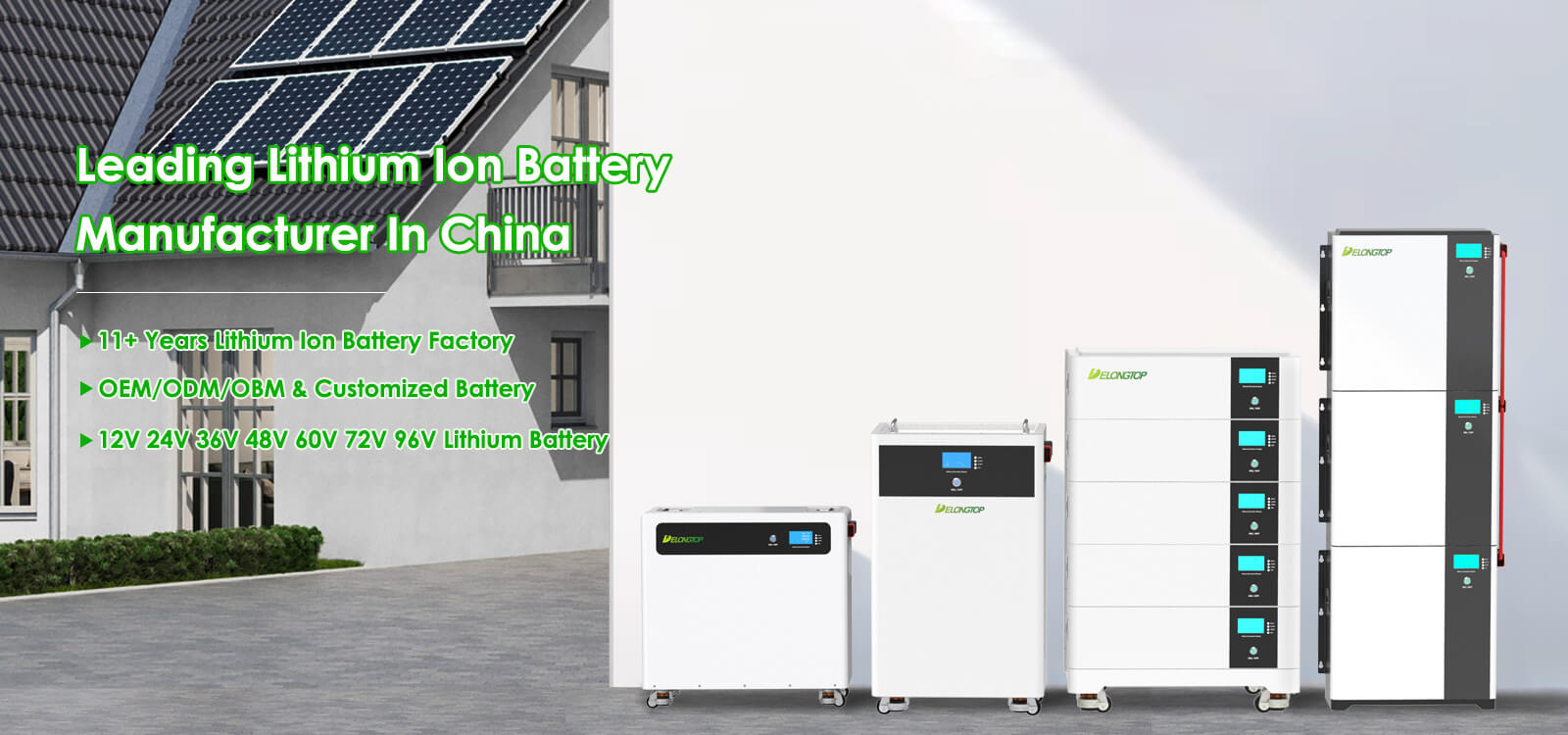 Lithium Manfuacturer Delong